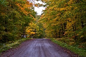 The Intersection To The Cottage